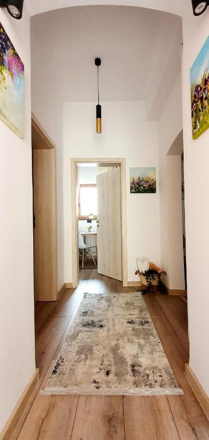 Art Studio Braşov Buitenkant foto